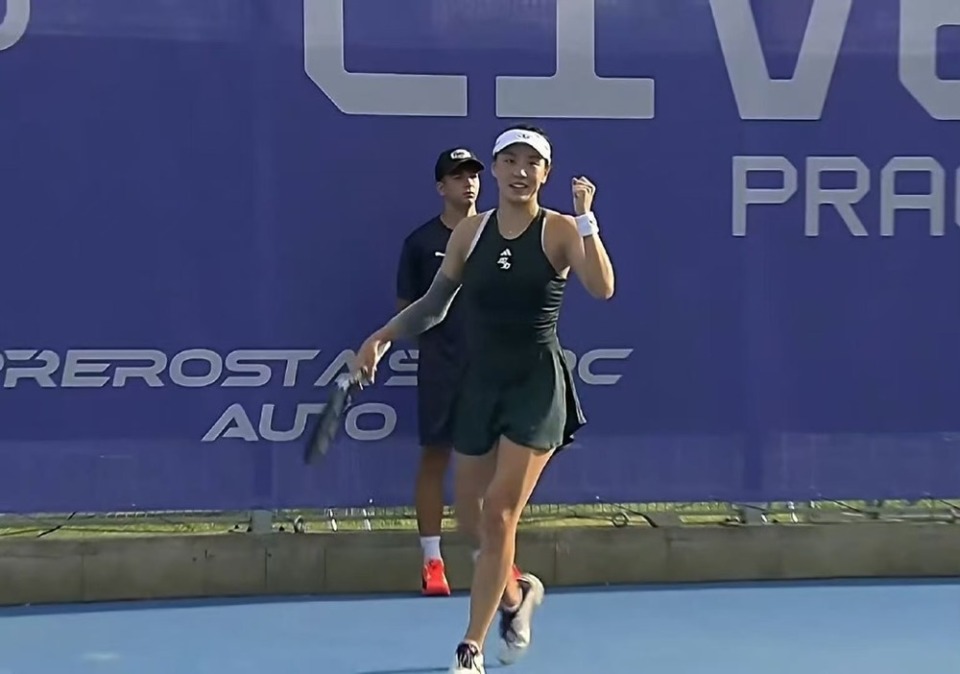 组委会引入 组委会引入